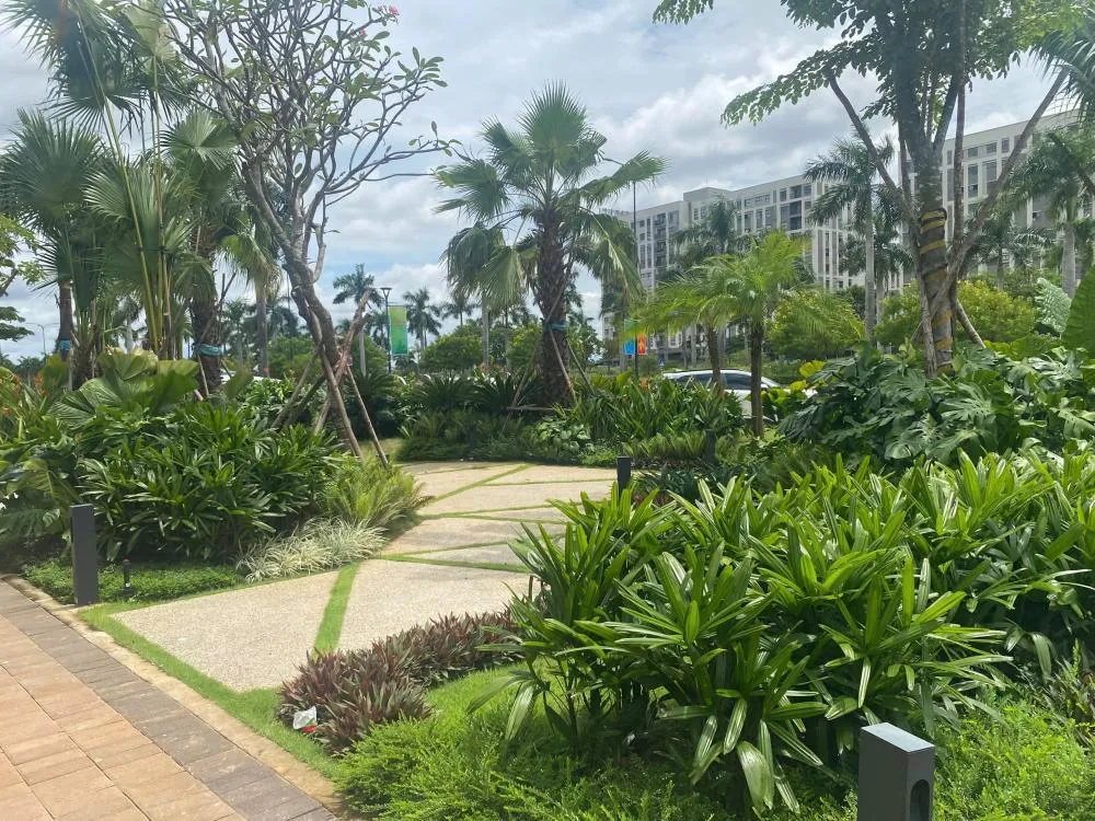 Dự án bến lức – long an