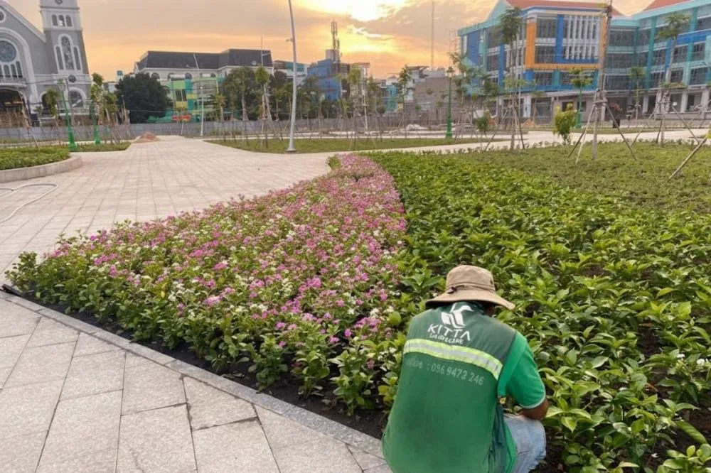 Bảo trì - bảo dưỡng định kỳ cảnh quan khuôn viên