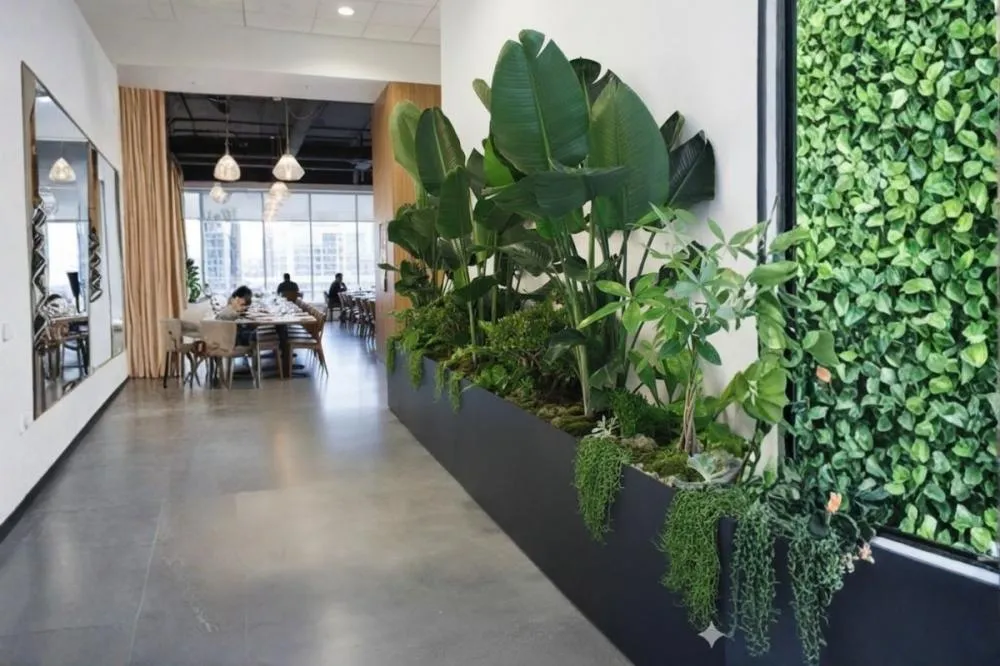 Cây xanh tranh trí nội thất