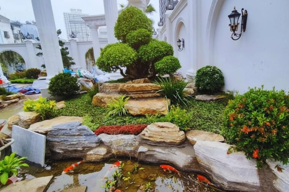 Dự án nhà villa