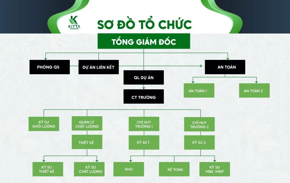 Sơ đồ tổ chức
