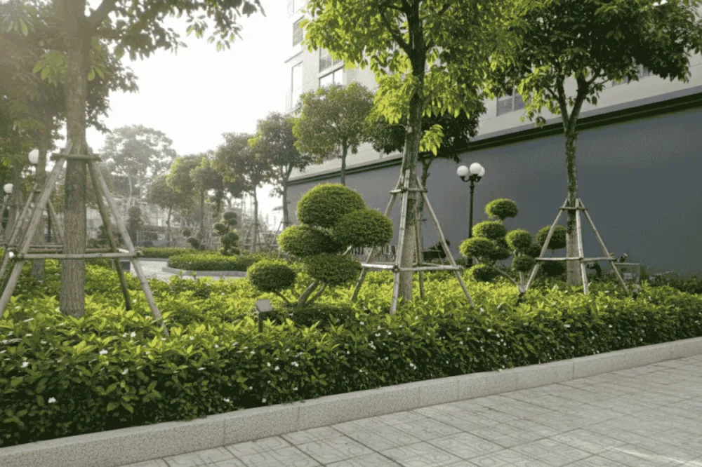 Thiết kế sân vườn biệt thự