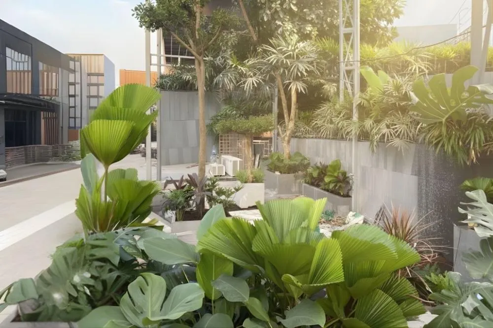 Cung cấp cây xanh dự án center