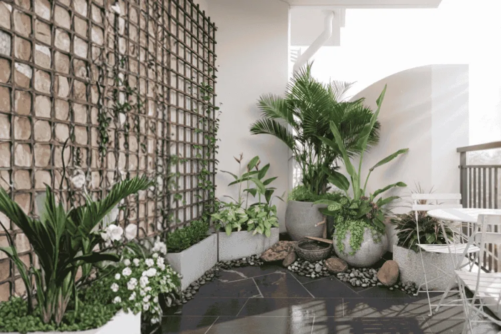 Cung cấp cây xanh nội ngoại thất