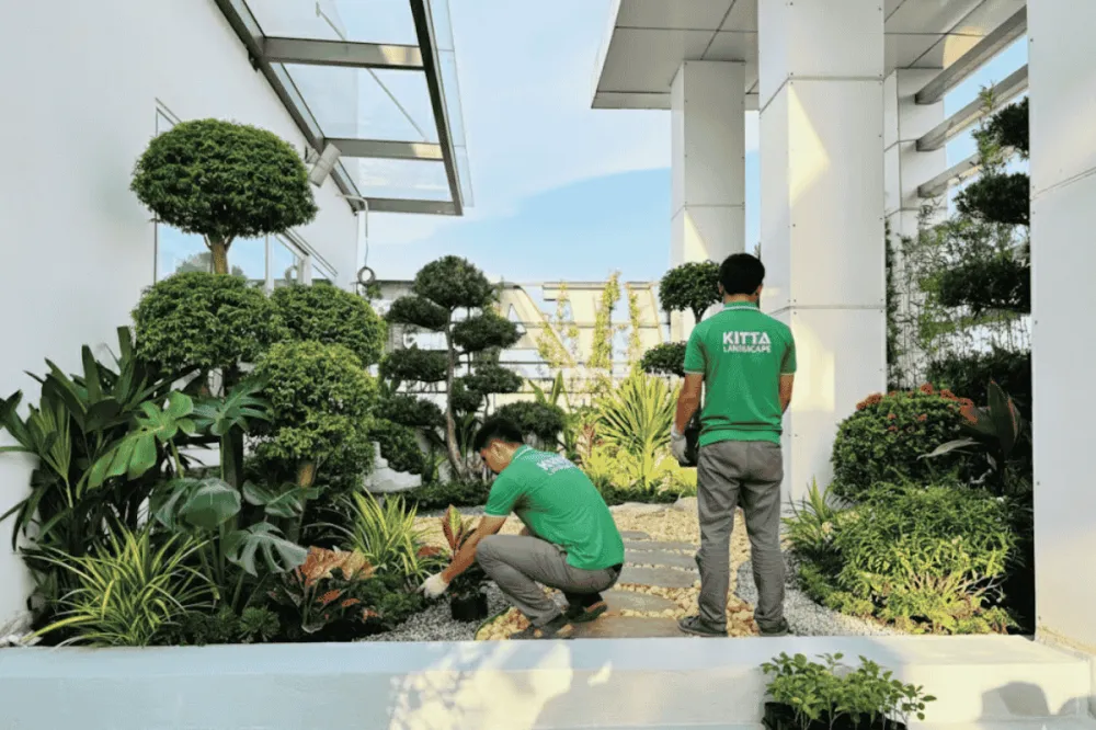 99+ ý tưởng thiết kế cảnh quan sân vườn đẹp và hot nhất hiện nay 9 99+ ý tưởng thiết kế cảnh quan sân vườn đẹp và hot nhất hiện nay