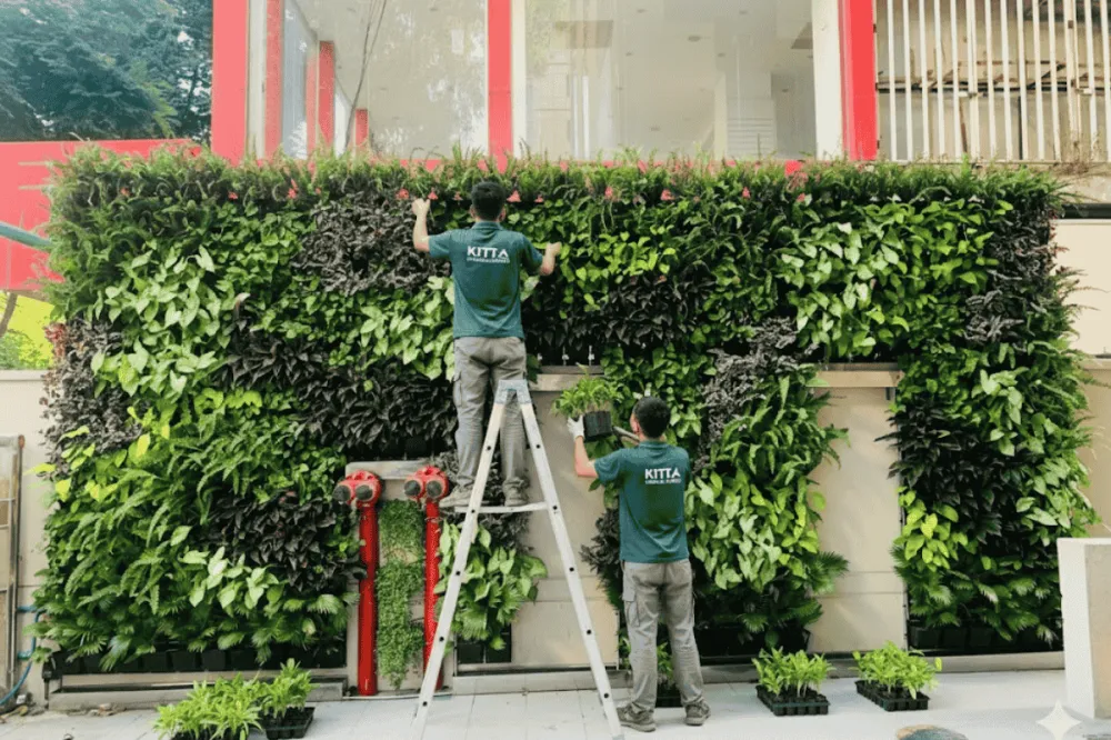 Sân vườn vertical