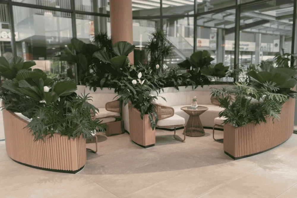 Cây cảnh trong nhà