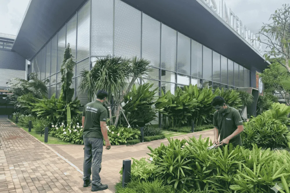 Thiết kế cảnh quan cho sân vườn trước nhà