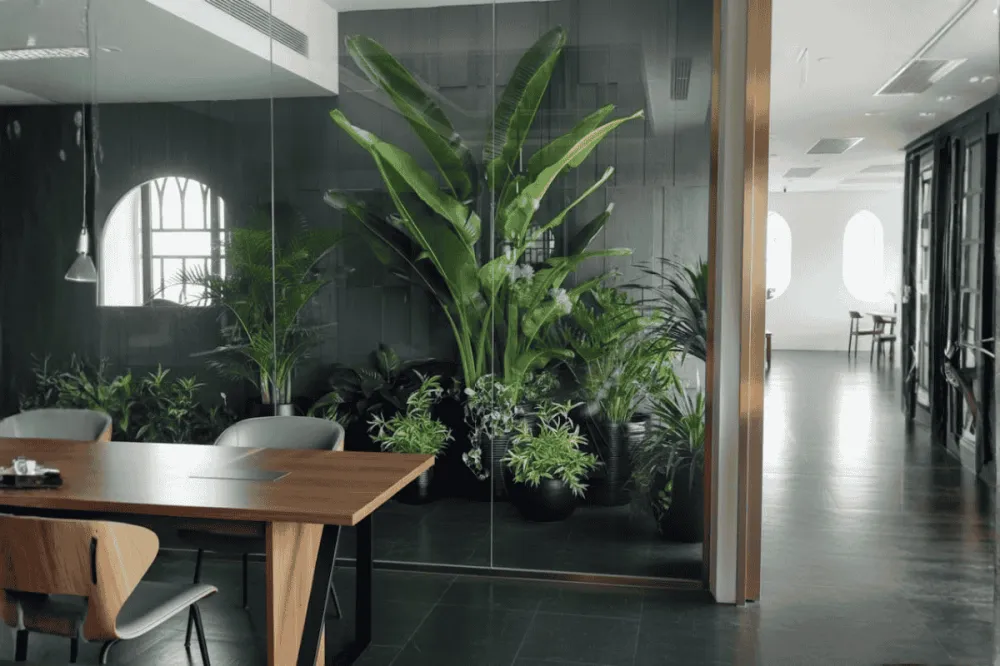 Thiết kế cảnh quan