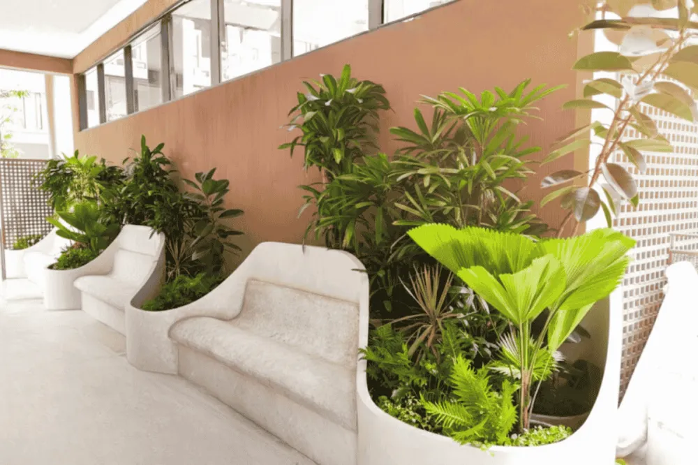 Thiết kế dự án sycamore