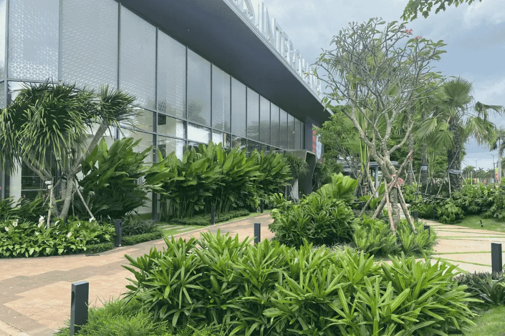 Vườn nhiệt đới trước tòa nhà chung cư