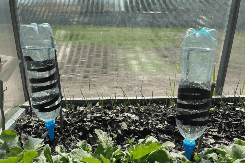 Cách làm tưới nhỏ giọt theo mô hình cắm ngược