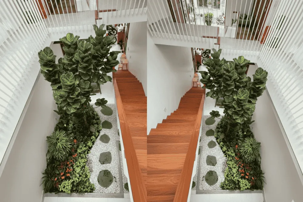 Cải tạo cảnh quan trong nhà ở khu vực hẹp