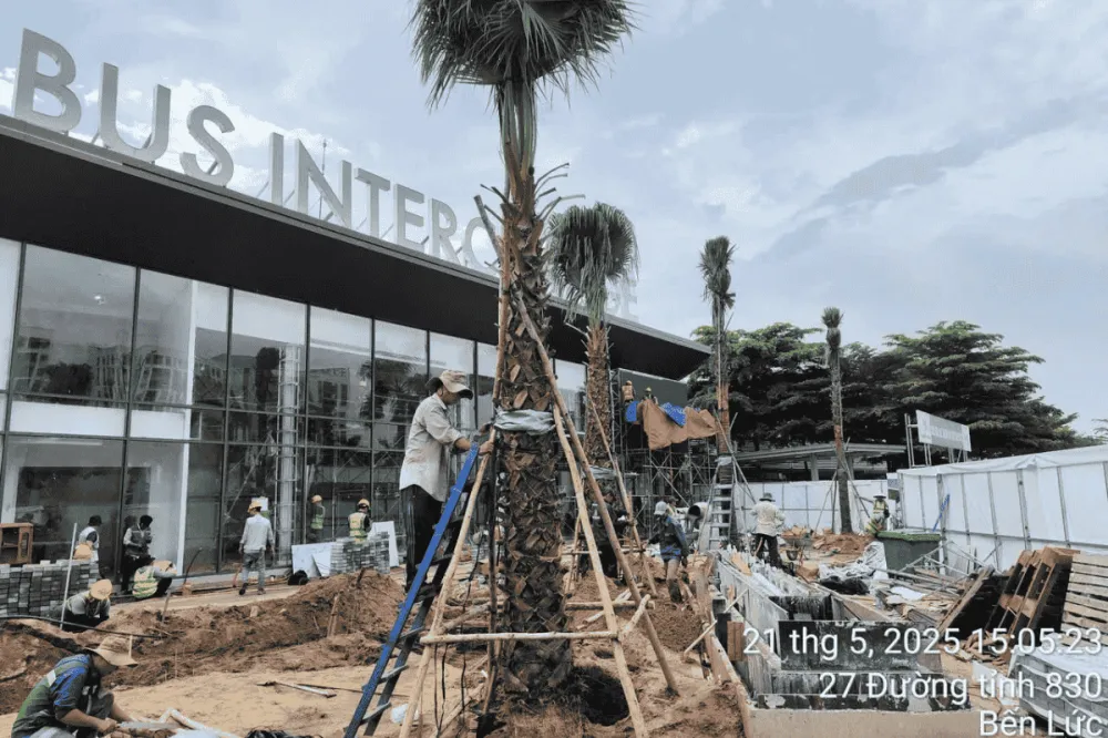 Cây công trình tại kitta