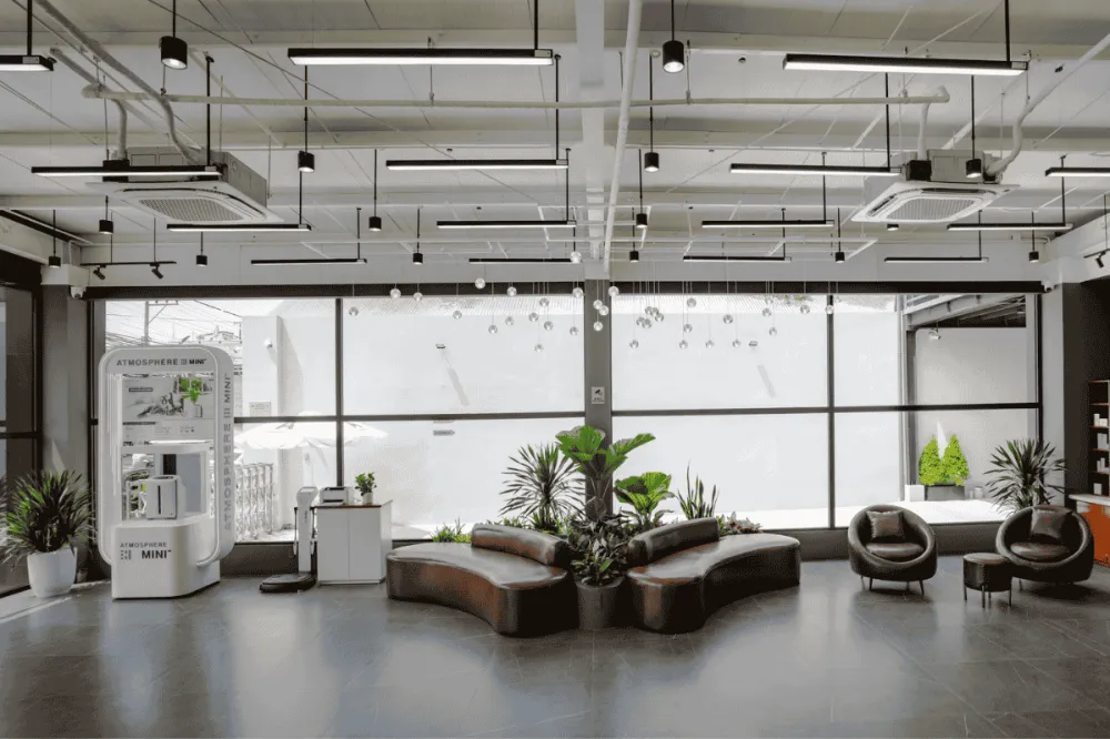 Cây trang trí văn phòng