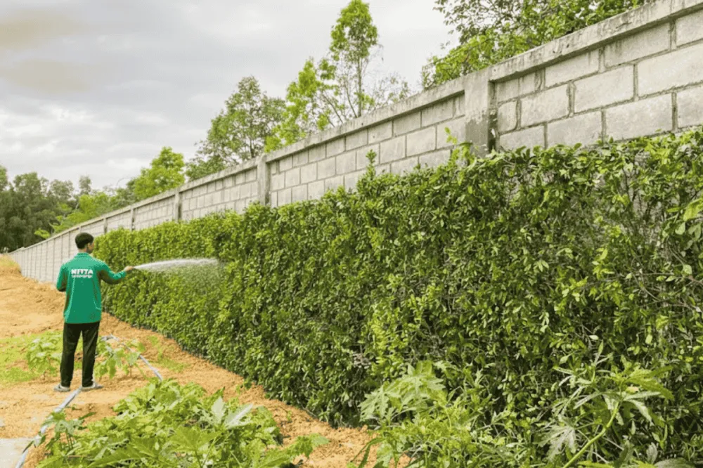 Dịch vụ chăm sóc cảnh quan định kỳ