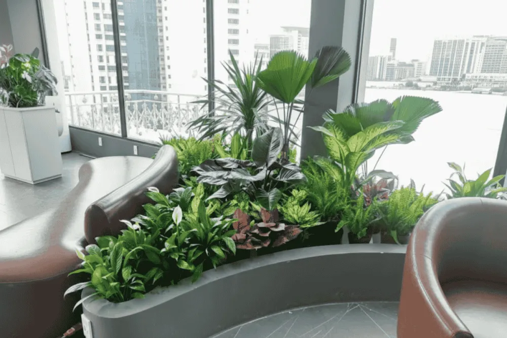 Góc xanh trong văn phòng