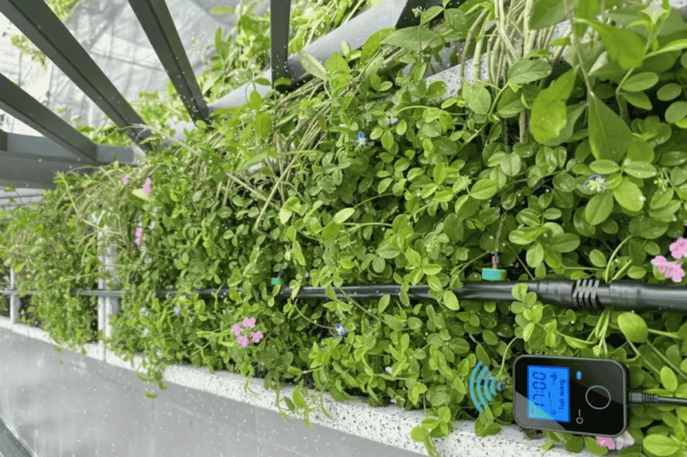 Hệ thống tưới nước nhỏ giọt trong tổng thể thiết kế cảnh quan