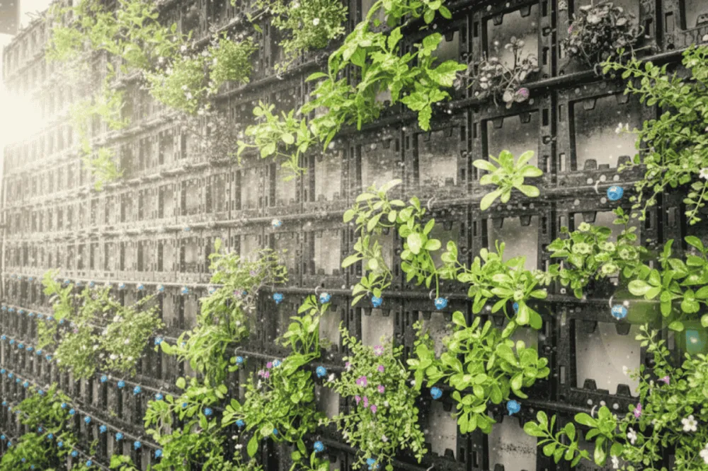 Hệ thống tưới nước nhỏ giọt