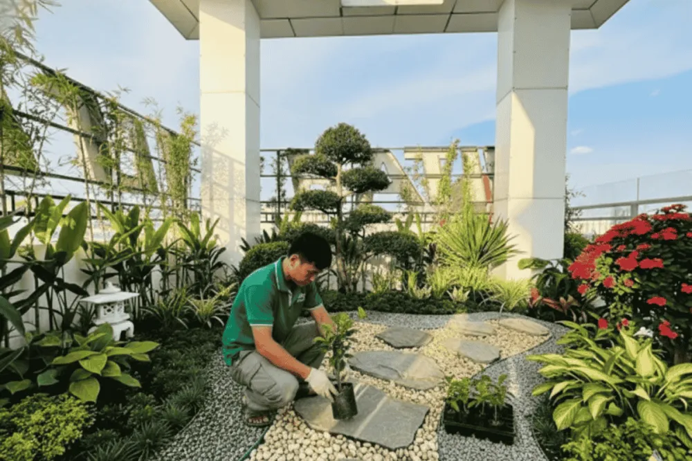 Khi nào nên thuê dịch vụ chăm sóc sân vườn theo chu kỳ