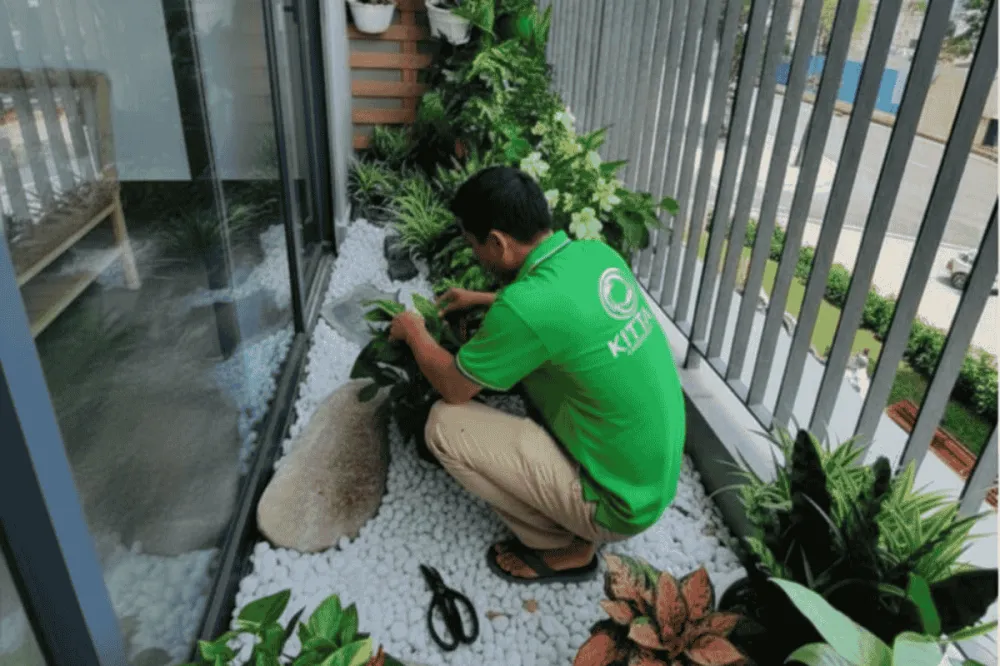 Nên cắt tỉa cây vào lúc nào