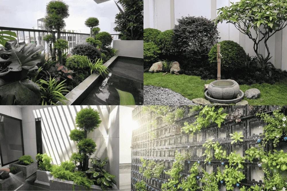 Ý tưởng cải tạo lối đi bên hông nhà thành tiểu cảnh