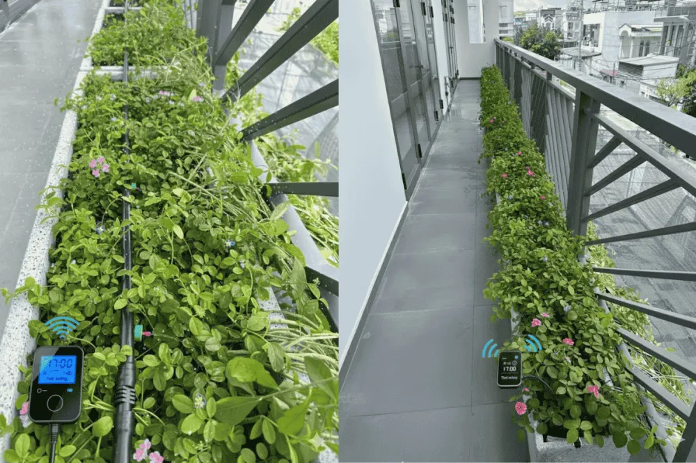 Ban công xanh có hệ thống tưới trọn gói
