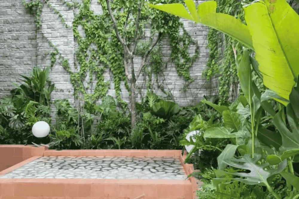 Cảnh quan quán cà phê