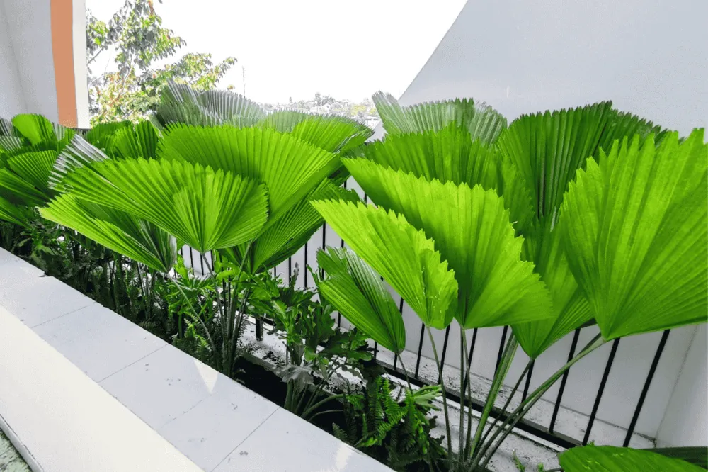 Cảnh quan trong văn hóa làm việc hiện đại