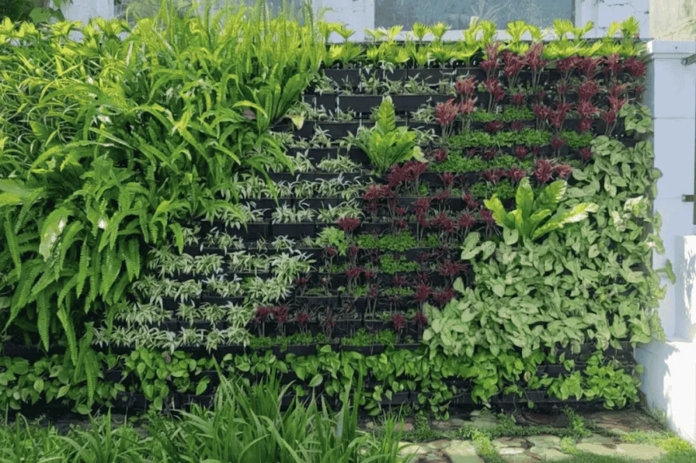 Mẫu giàn treo hoa đẹp