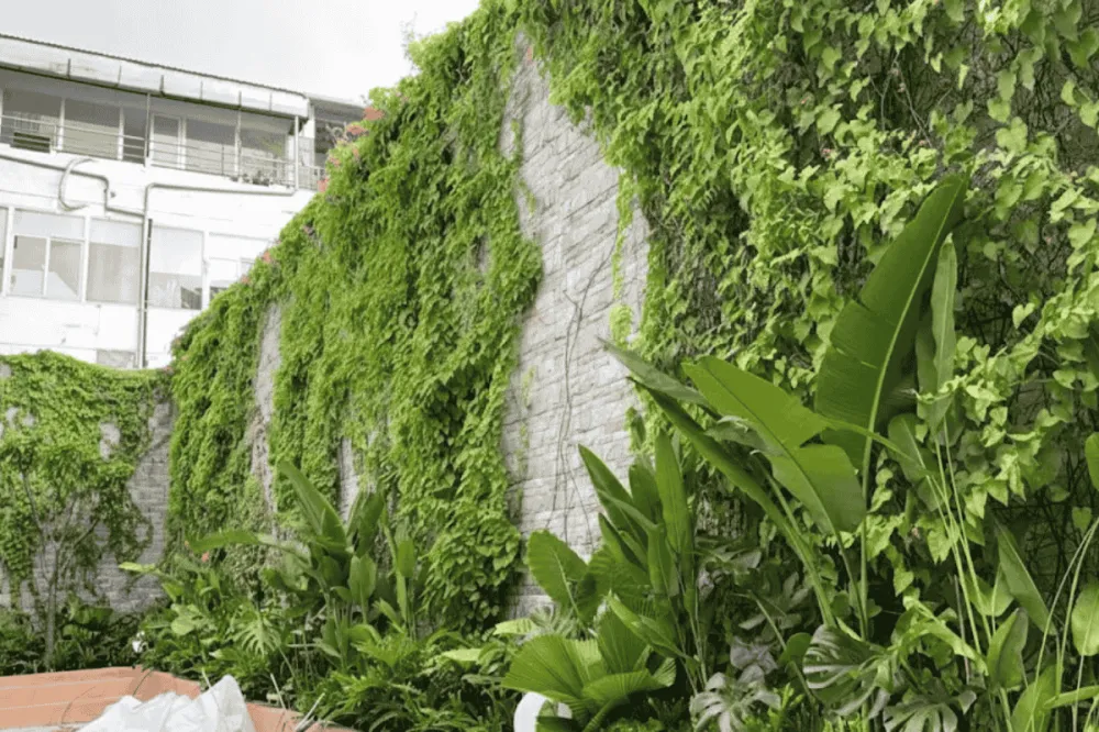 Mẫu giàn treo hoa đẹp treo tường