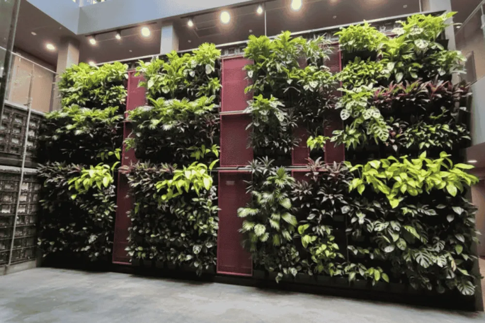 Mẫu giàn treo hoa đẹp