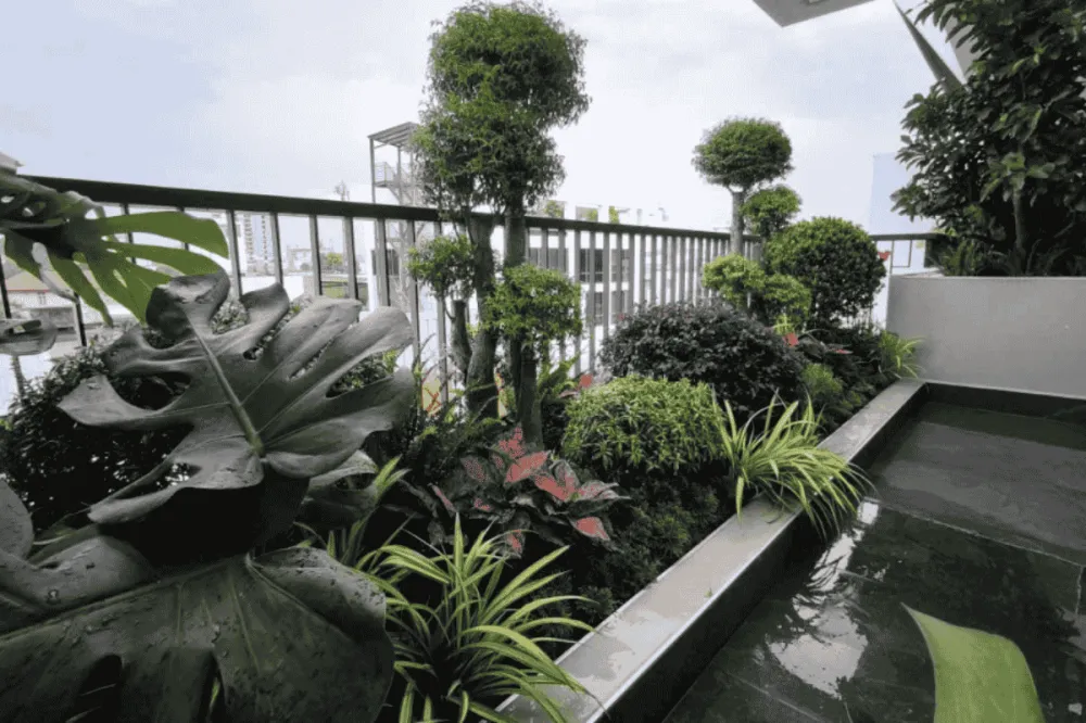 Phong cách tropical (nhiệt đới)