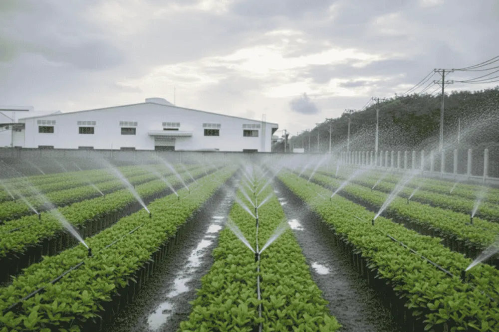 Thi công ban công và hệ thống tưới tự động trọn gói tại kitta