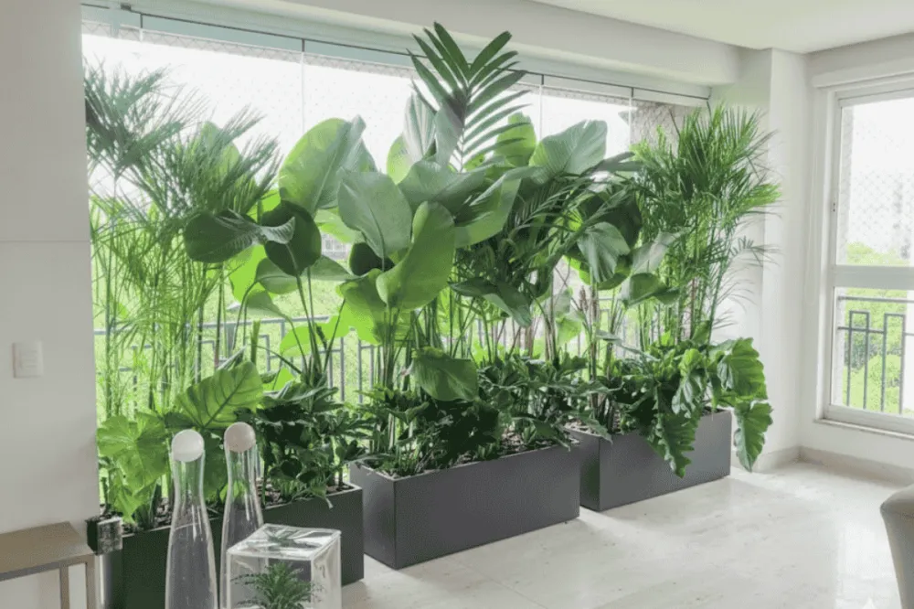 Thiết kế sân thượng đẹp cho nhà ống