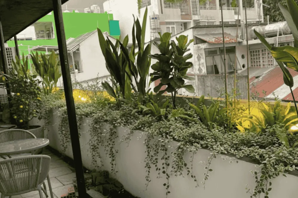 Trang trí ban công nhỏ tại đô thị
