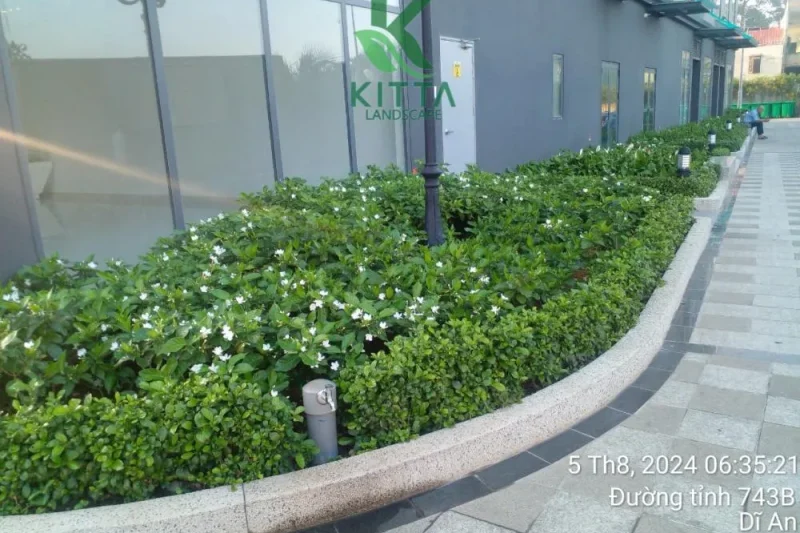 1ca3caed269c82c2db8d