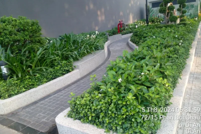 34210871e700435e1a11