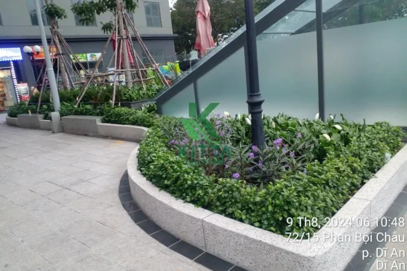 67dcaa3a474be315ba5a