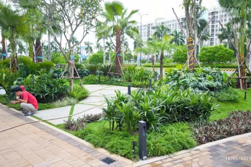 Bản sao của 07a7786a54aedef087bf