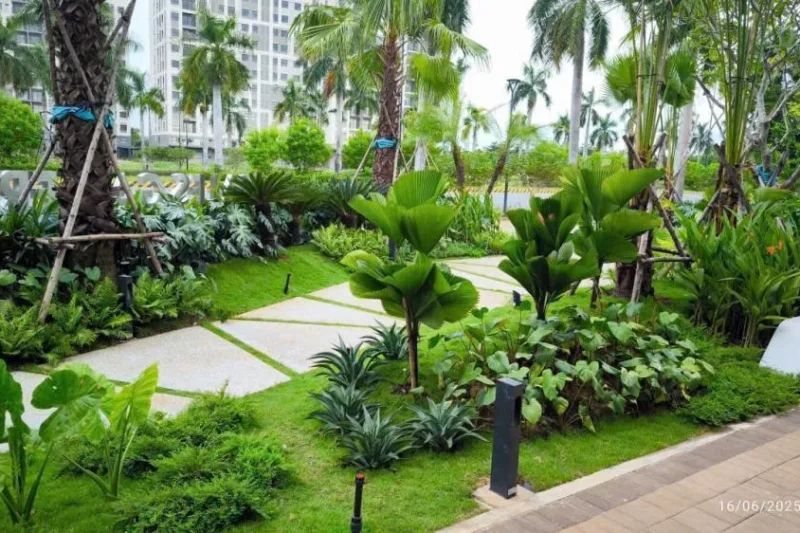 Bản sao của 3ee9b52d99e913b74af8