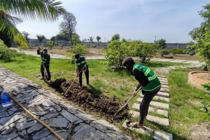 Bản sao của 497c517c82923ccc6583