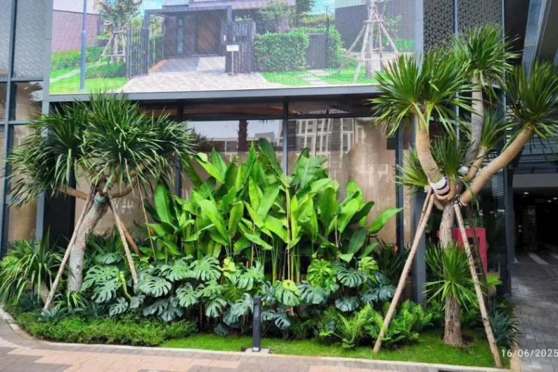 Bản sao của 4cf7f335dff155af0ce0