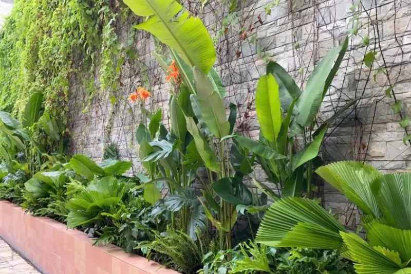 Cà phê sân vườn 3 Cà phê sân vườn