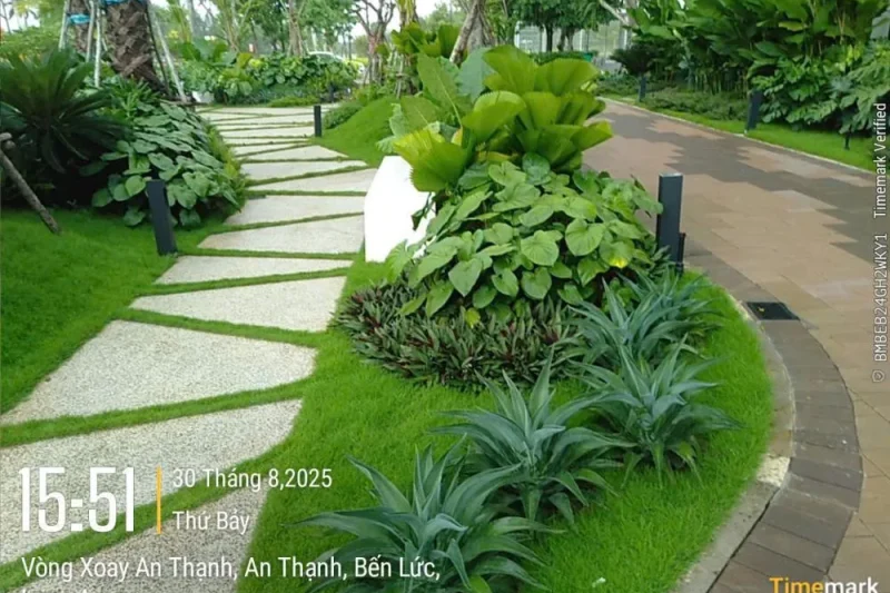 Bản sao của 62e1d4937efcf4a2aded