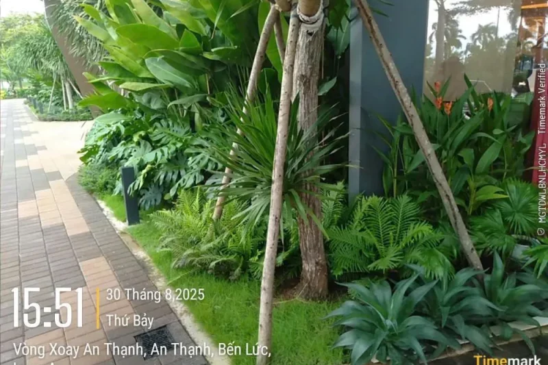 Bản sao của 742e6d5ac7354d6b1424