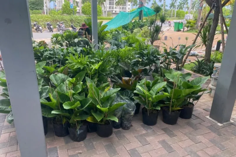 Bản sao của 78e12e870243881dd152