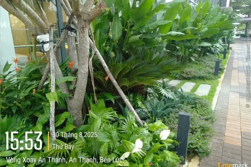 Bản sao của 94cc91b93bd6b188e8c7