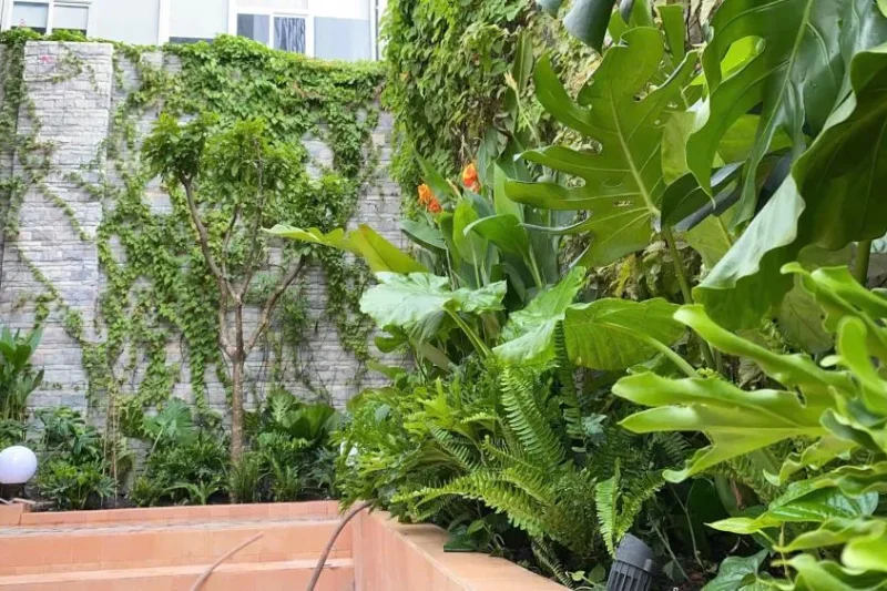 Cà phê sân vườn 2 Bản sao của 9c7142aabd7837266e69