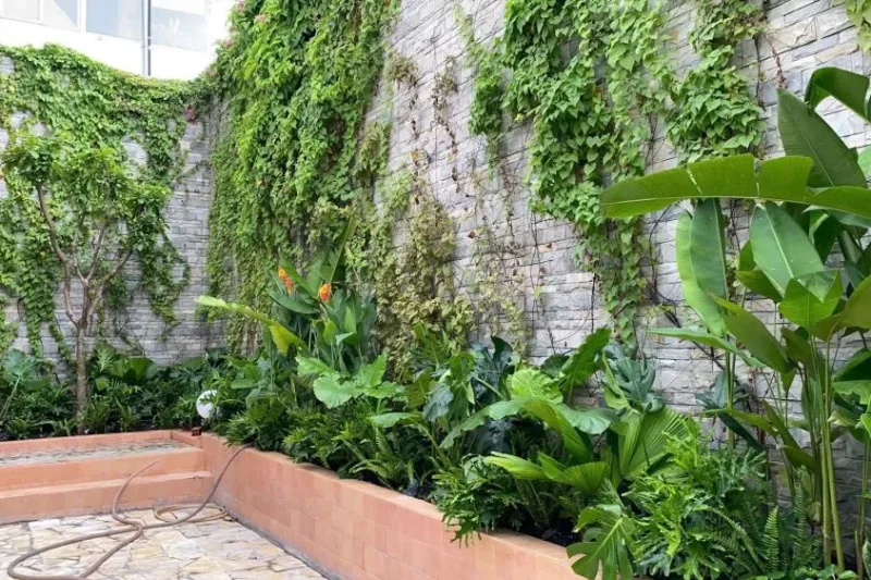 Cà phê sân vườn 6 Bản sao của ad320decf23e7860212f